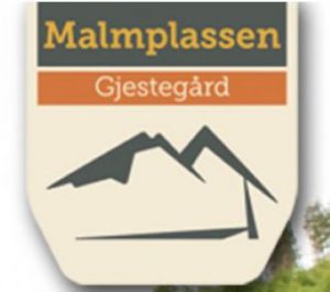 malmplassen-mobile